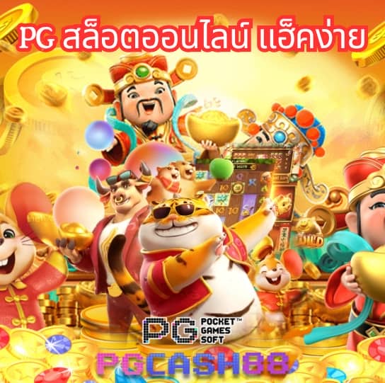 kc9 ทางเข้า